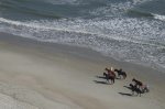 Slow walk down the beach